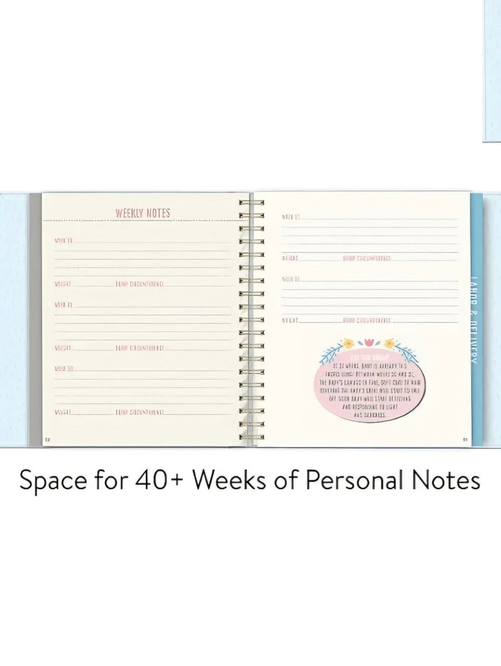 Bump for Joy! Pregnancy Journal - Blue & Pink
